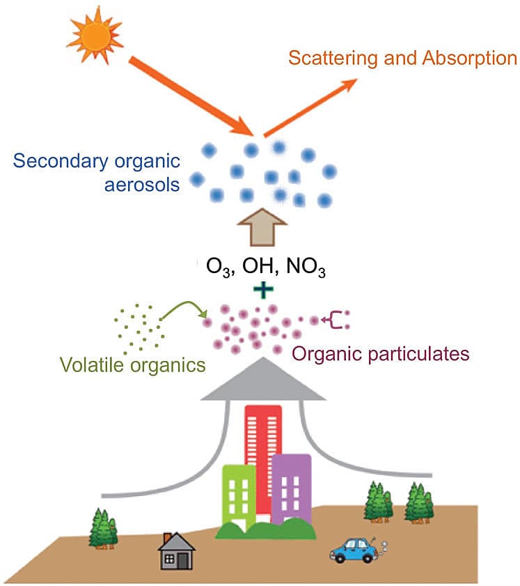 Preview image for Heterogeneous Chemistry and Reaction Dynamics of the Atmospheric Oxidants, O3, NO3, and OH, on Organic Surfaces