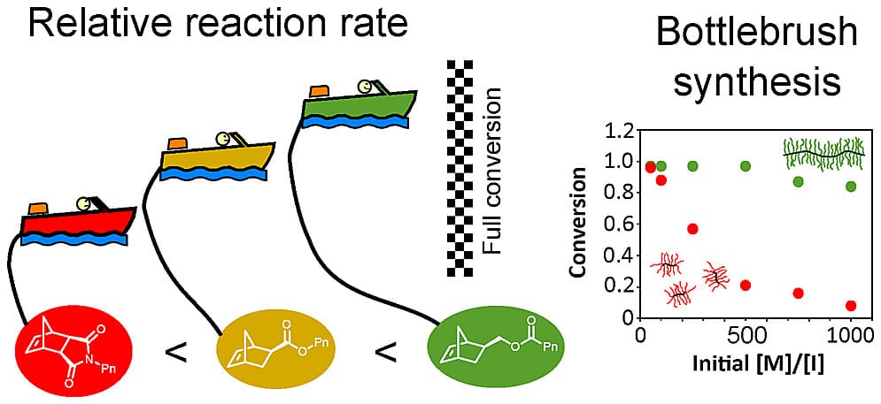 Preview image for Bottlebrush Polymer Synthesis by Ring-Opening Metathesis Polymerization: The Significance of the Anchor Group