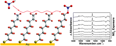 Preview image for Gas-Surface Reactions of Nitrate Radicals with Vinyl-Terminated Self-Assembled Monolayers